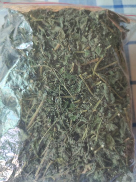 Мята клубная. Сушёная.