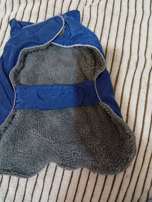 Жилетка для собак