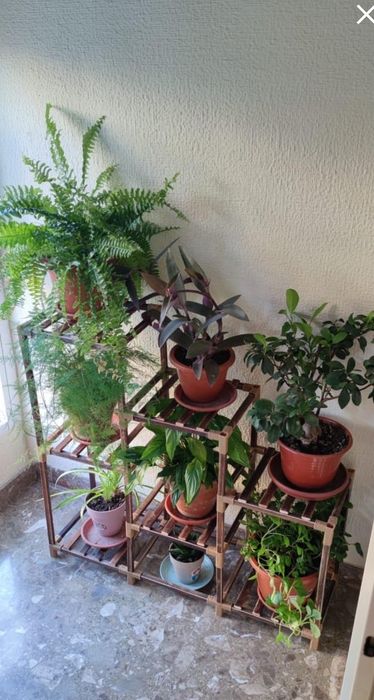 Suporte para plantas novo e em caixa