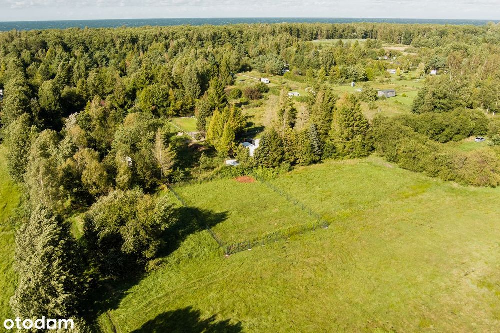 Działka NAD MORZEM – 300 m do plaży! Cisza, natura, prywatność - Więcej