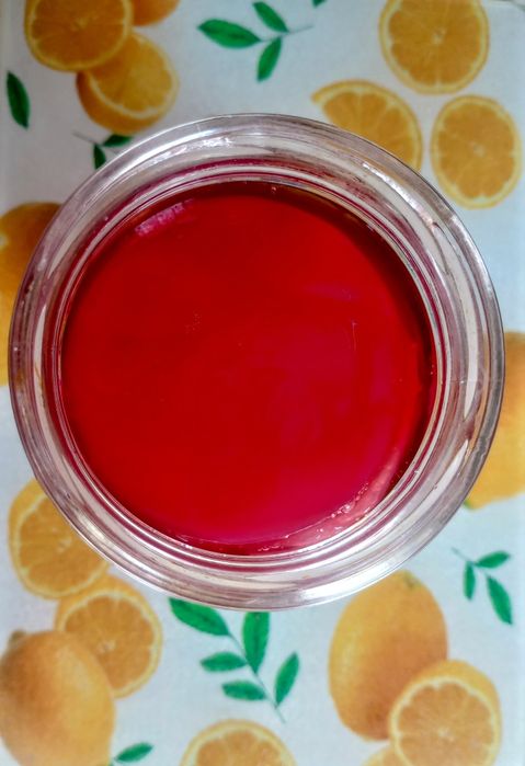 Kombucha żurawinowa - grzybek herbaciany+ starter