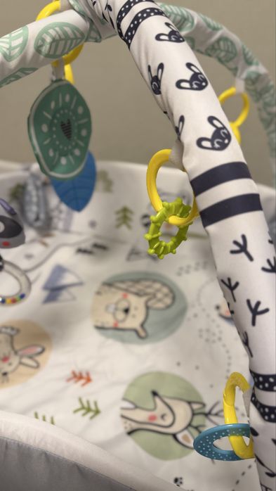 Килимок Ricokids з дугами та іграшками