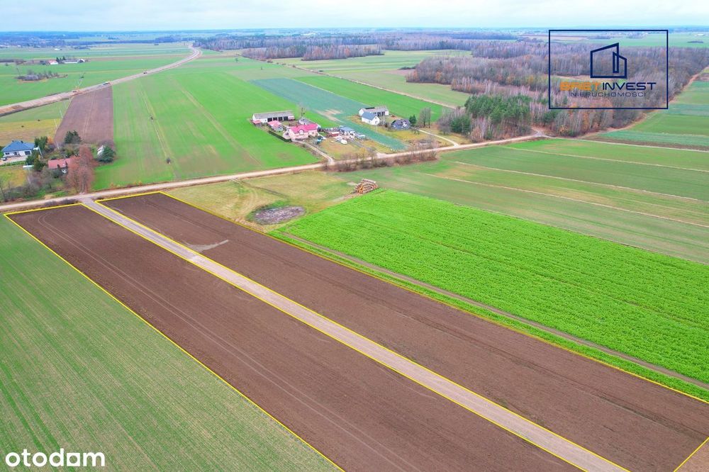Spokojna okolica, swietna lokalizacja - Działki w Lipie - Więcej