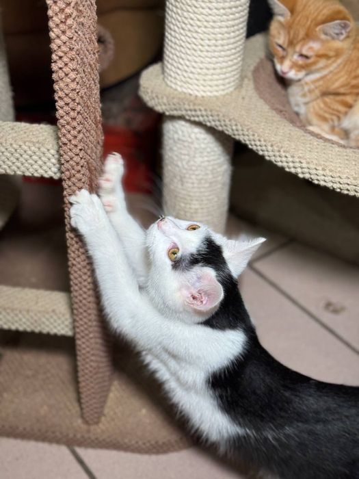 Классный Гарик в лучшую семью