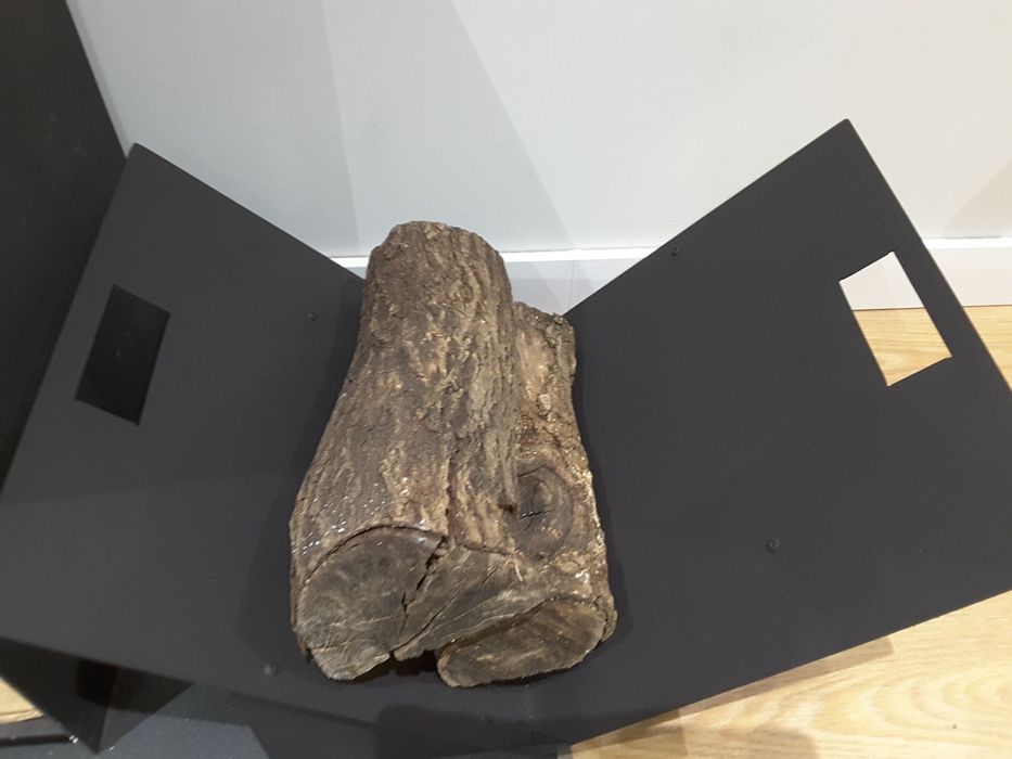 Suporte para Lenha