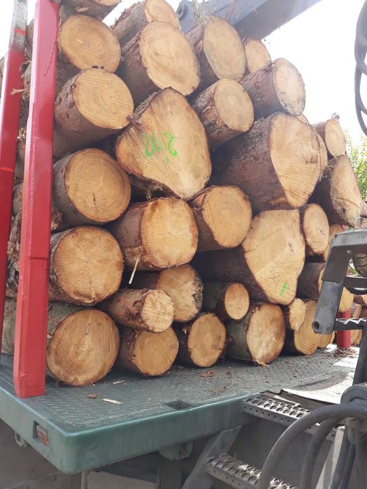 Papierówka paletowa So, Św,Kłoda WK, drewno Opał, Transport