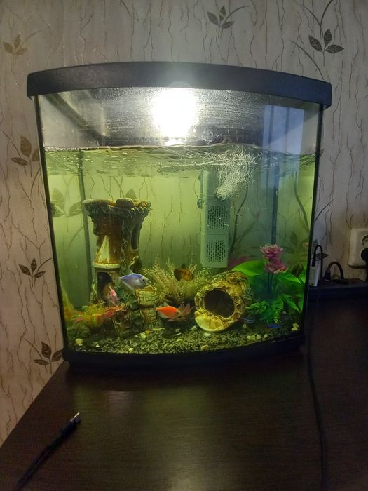 Продам аквариум с рибками