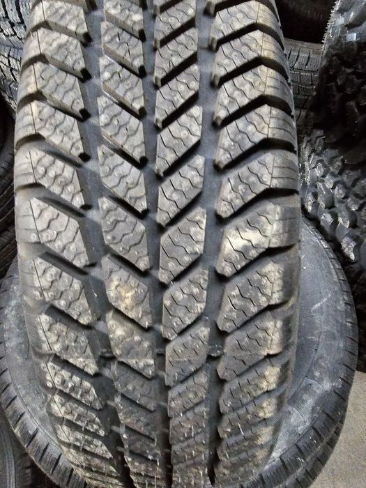 Opony Profil 195/75R14C Inga Plus 103/104N Collin"s