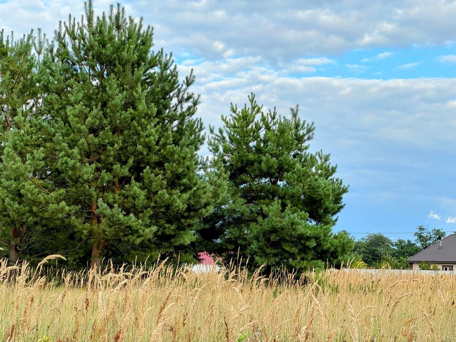 Ділянка під забудову в новому районі / Личанка
