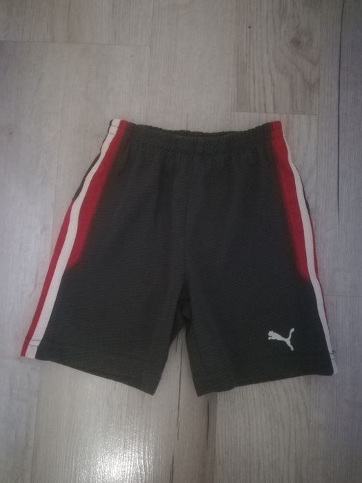 Spodenki krótkie chłopięce. Puma.