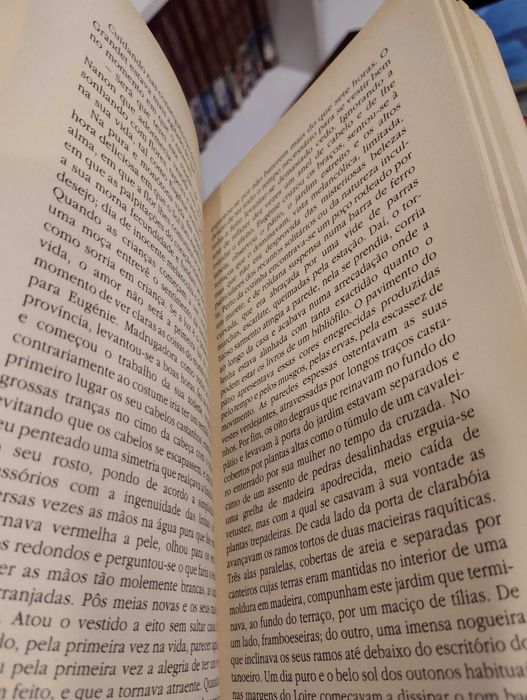 Balzac, de Eugénia Grandef