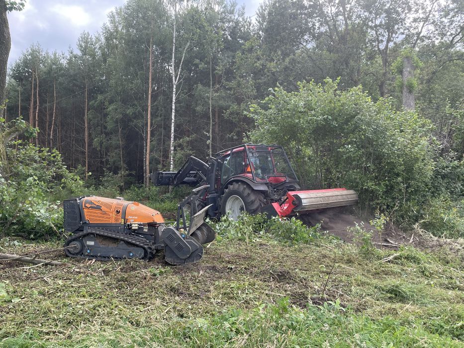 Mulczowanie karczowanie koszenie terenu wycinka drzew inwentaryzacja dendrologiczna