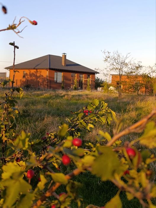 Продается новый дом в Фонтанка- 1