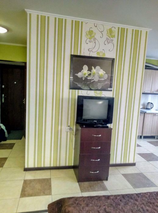 Власник. Вінниця, вул Пирогова. Погодинно, подобово, посуточно.