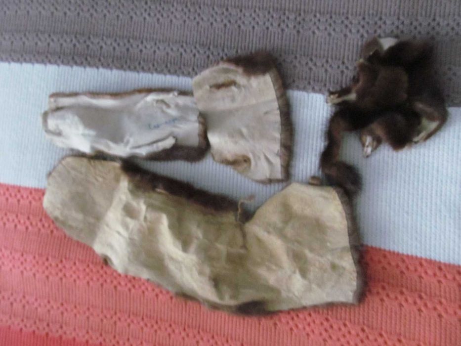Шкірка норкова (зимова)