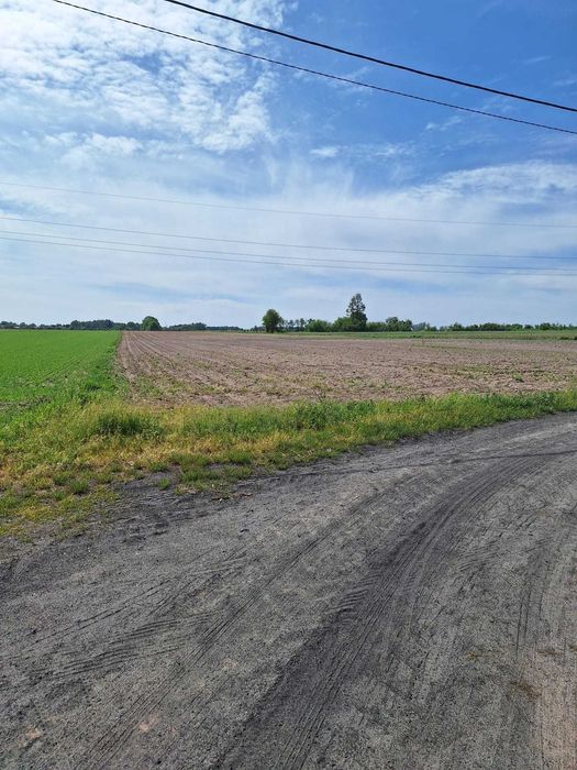 Działka z warunkami zabudowy Krotoszyn