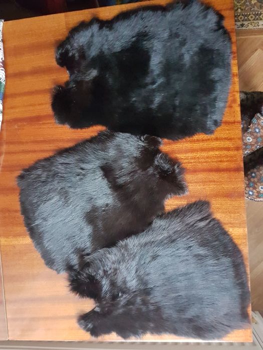 3 Шкурки кролика. ГДР