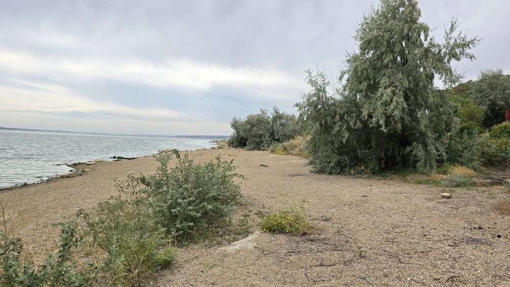 Алтестово  Участок 4 сотки с кадастровым / Возможна продажа соседнего