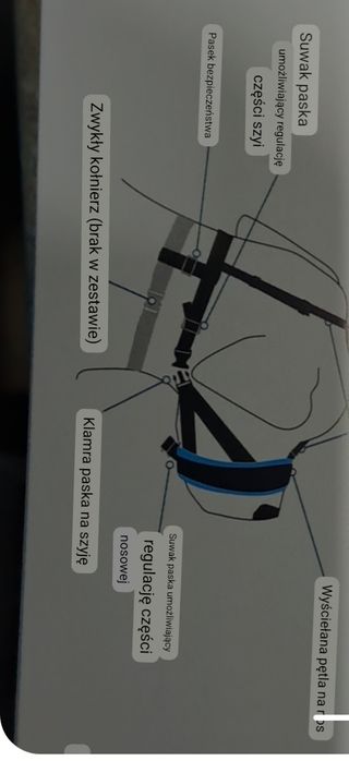 Kaganiec dla psa w kolorze niebieskim