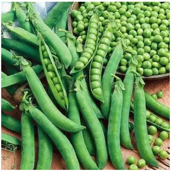 Продам горох Оскар