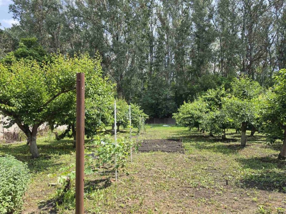Продам домовладение в г. Чугуев