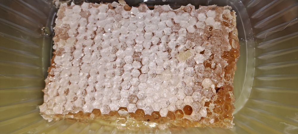 Favos de mel a granel