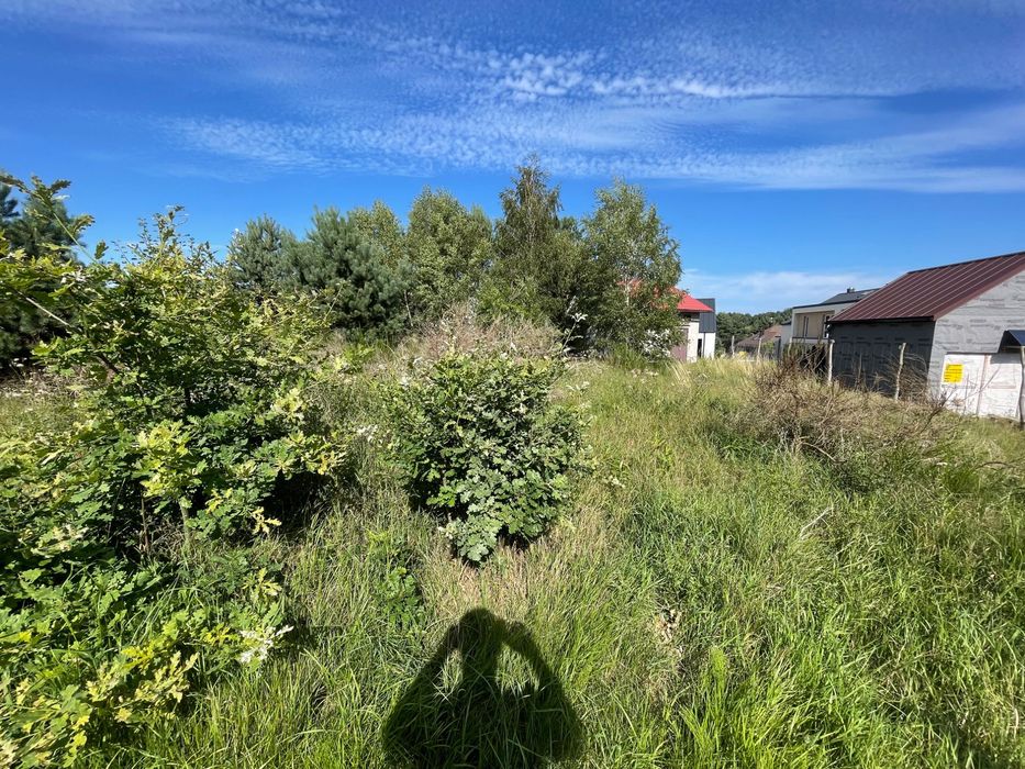 Zdjęcie 8