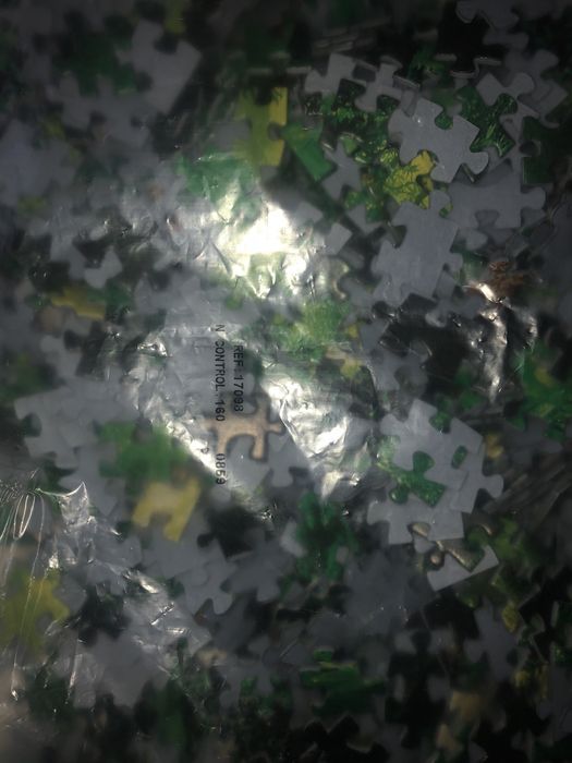 puzle 1000 peças foresta