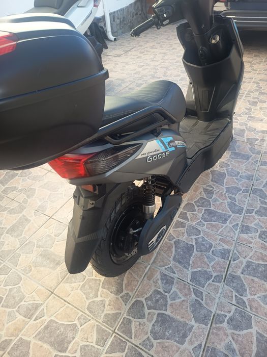 Mota eléctrica Vortex Goose Two LiTIO