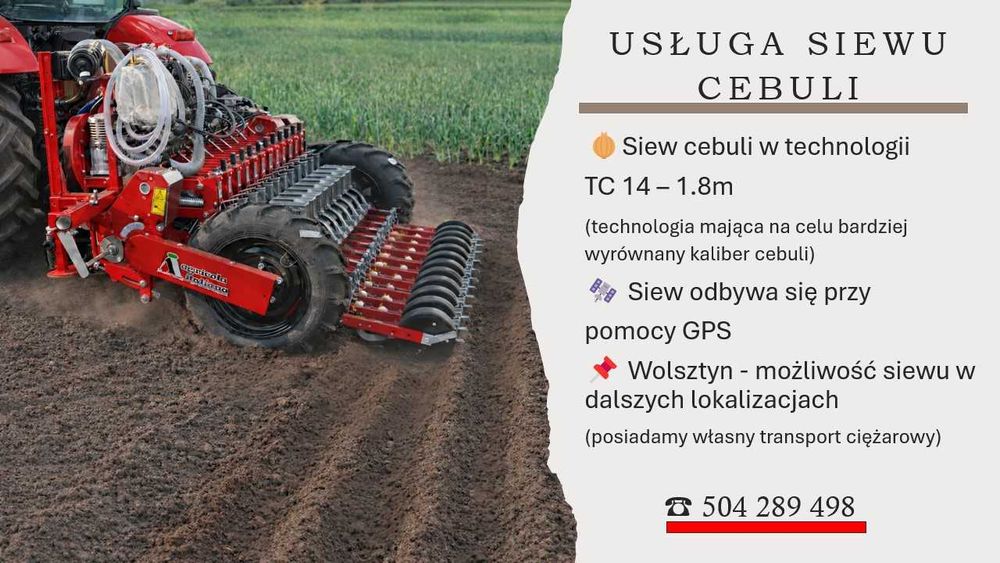 Usługa siewu cebuli