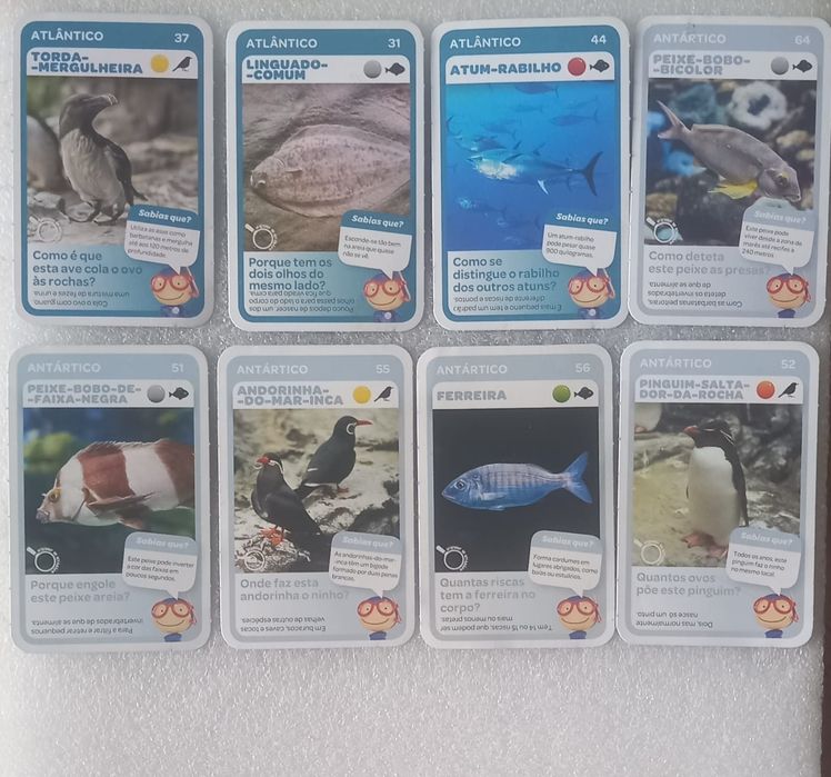 8 cromos pingo doce super animais 2