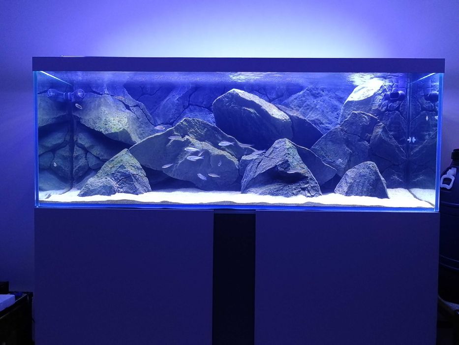 Aquário c/ móvel 150x50x55 + Background 3D Aquadecor + Fluval FX6