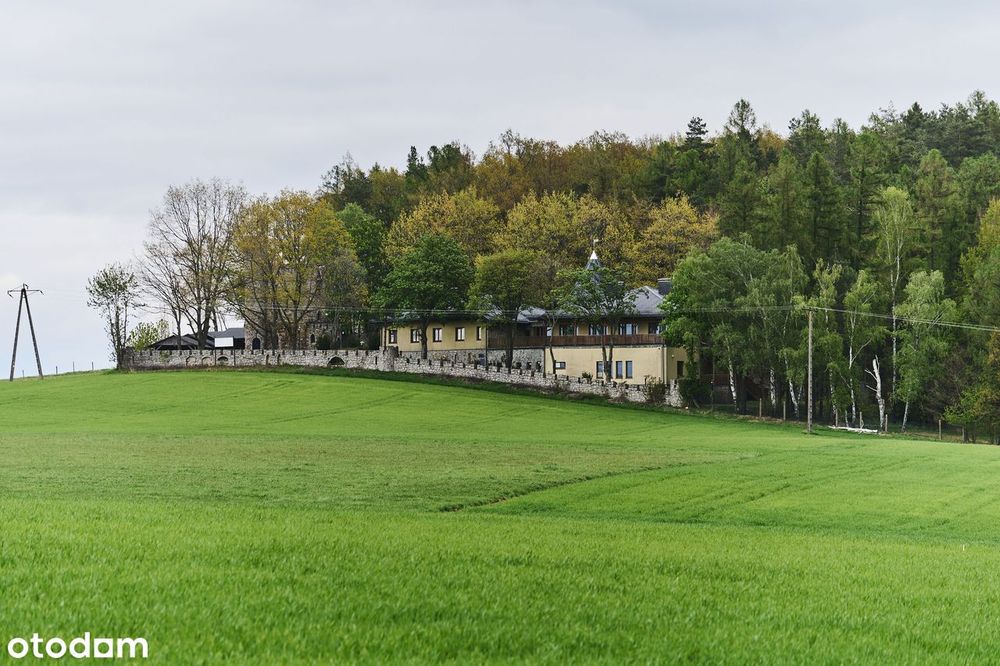Zdjęcie 8