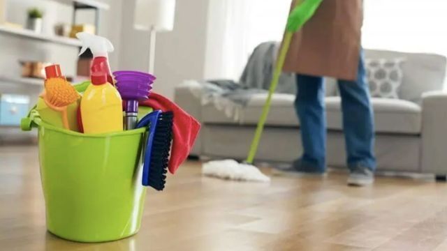 Limpeza / Gestão Doméstica e Apoio Sénior Personalizado"