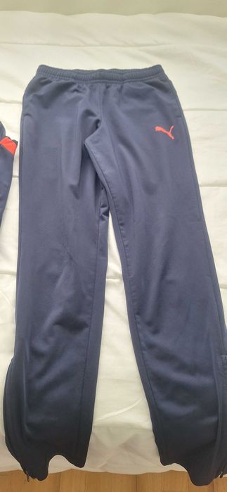 Puma Tracksuit493479945611530241