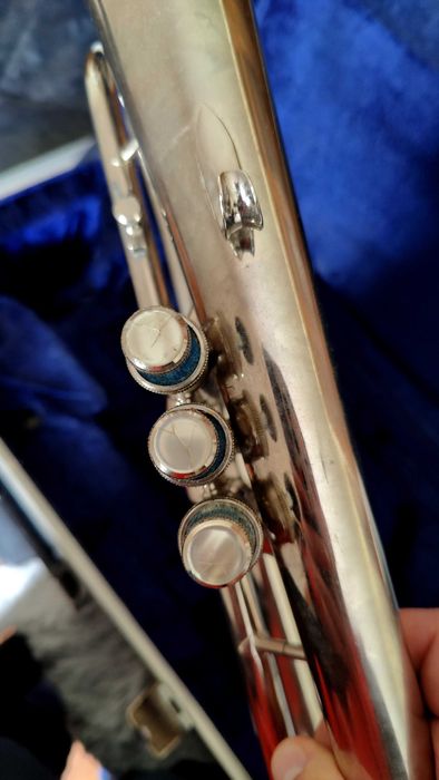 Fliscorne Amati Kraslice