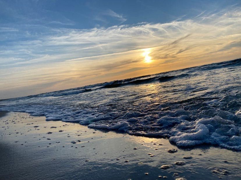 Krynica Morska , Apartament Lilu.