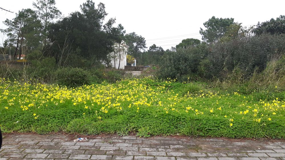 Vendo terreno urbano em Fernão Ferro