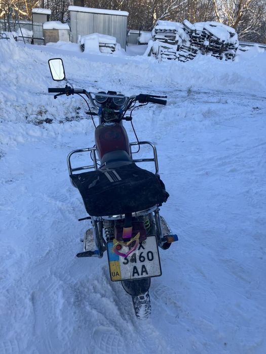 Продам альфа мустанг