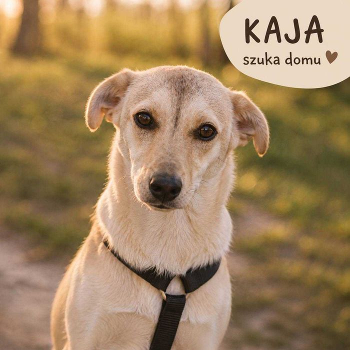 Małolata KAJKA szuka domu