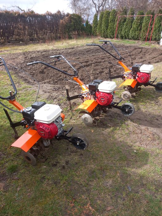Glebogryzarka benassi  bl6000h 2017r Honda gx 160 5,5hp