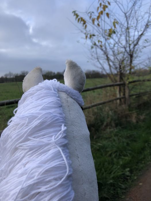 hobby horse(cena do negocjacji)