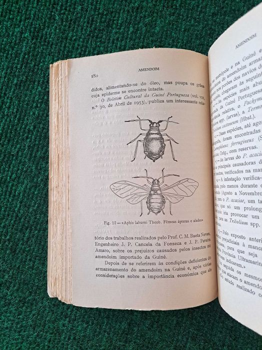 Culturas Tropicais - Plantas Oleaginosas - 2 Vols. - Mário Cortesão