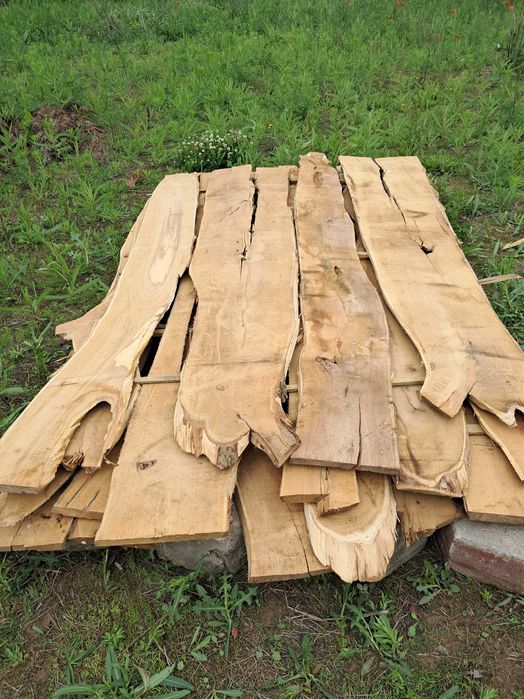 Foszty akacjowe  dl.2.5 metra