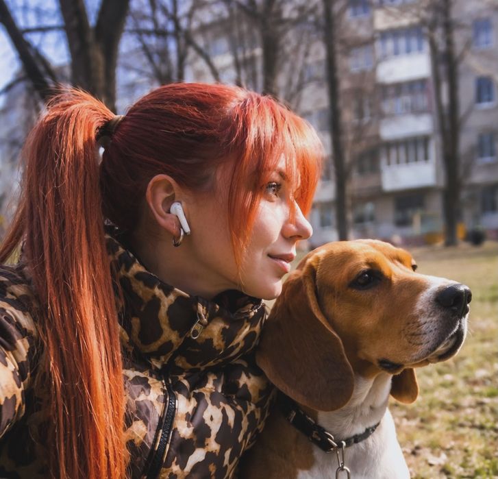 Продам бигль девочка почти 3 года