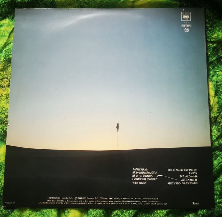 Płyta winylowa TV 2