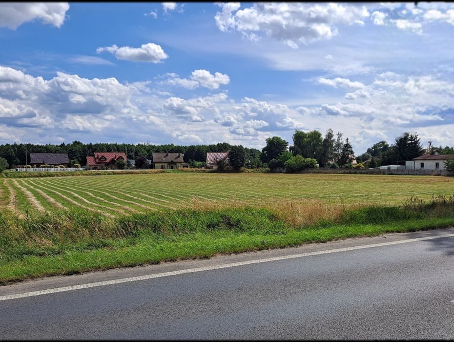 Działka usługowo-produkcyjna 9265 m² w Borowej - Widok 2