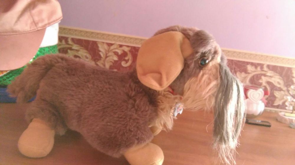 York maskotka zmieniajaca kolor