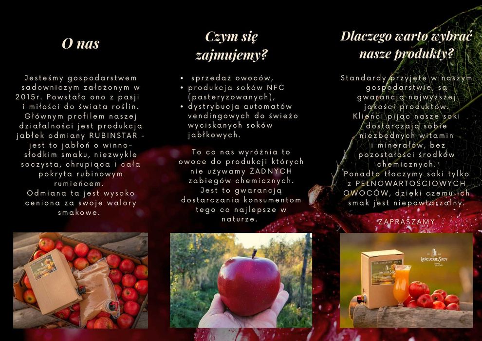Soki Jabłkowe NFC 10L ekologiczne, 100%naturalne, starodawna odmiana