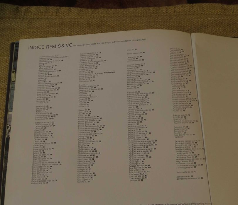 Livro Ilustrado O Mundo das Aves . Capa dura - tamanho A4